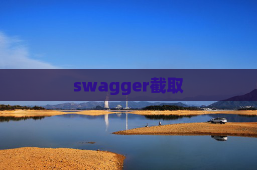 swagger截取